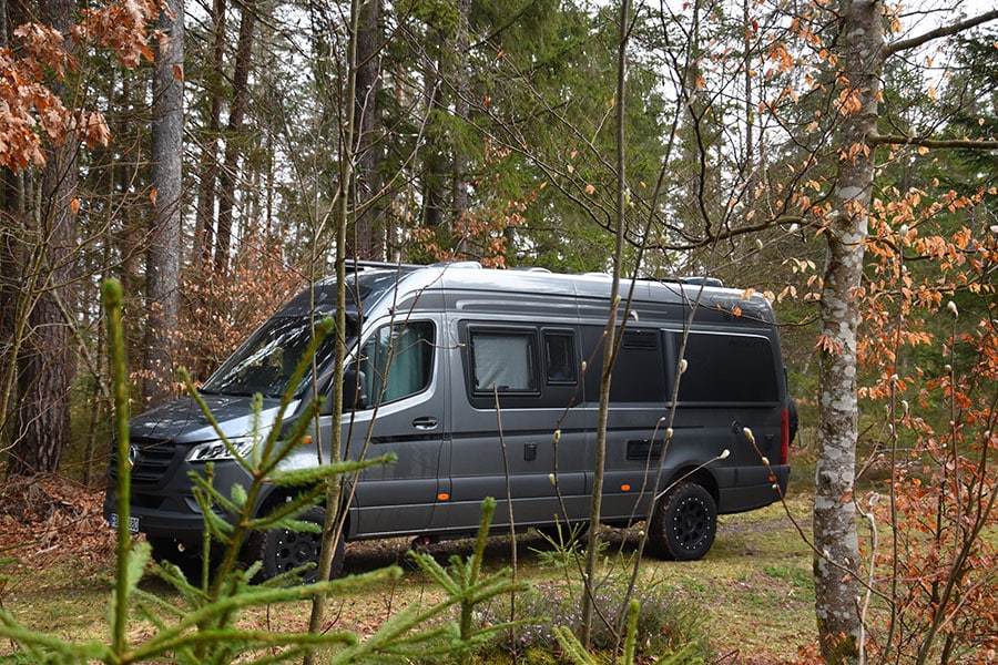 La Strada Regent EB im Wald