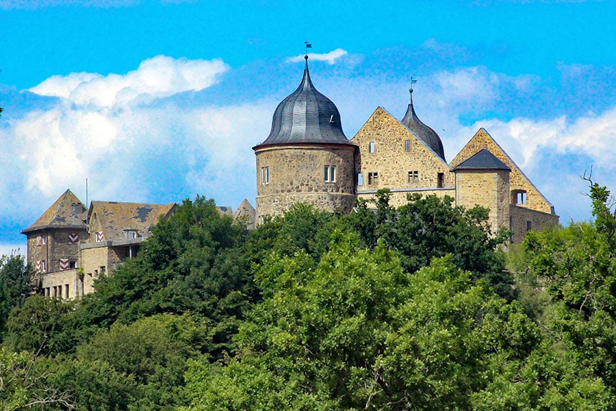 Schloss umgeben von Bäumen