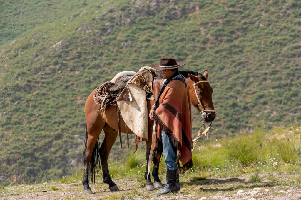 argentinischer Gaucho mit Pferd