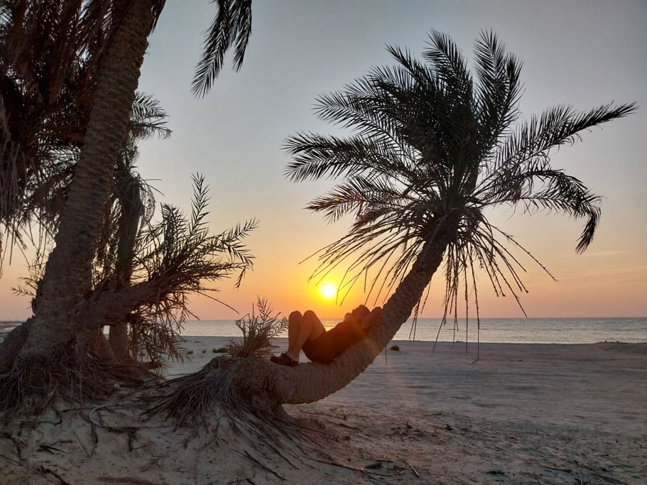 Eine Person liegt auf dem gebogenen Stamm einer Palme am Meer